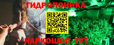 гашик Лесосибирск