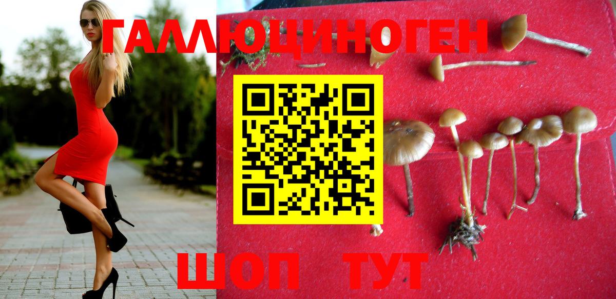 Галлюциногенные грибы Magic Shrooms Южноуральск