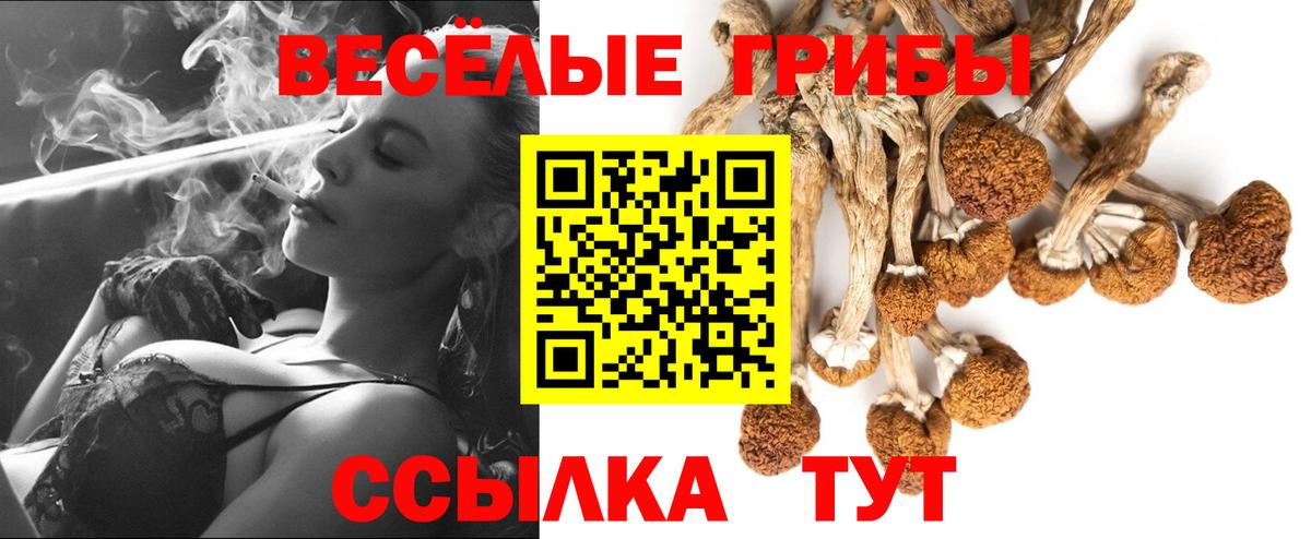 Южноуральск  Псилоцибиновые грибы прущие грибы  Вход с VPN 